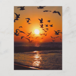 Postal Puesta de sol en el lago Erie