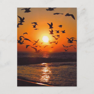 Postal Puesta de sol en el lago Erie