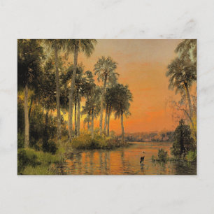 Postal Puesta de sol en Florida de Hermann Herzog