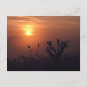 Postal Puesta de sol en invierno, Norfolk, Inglaterra - P