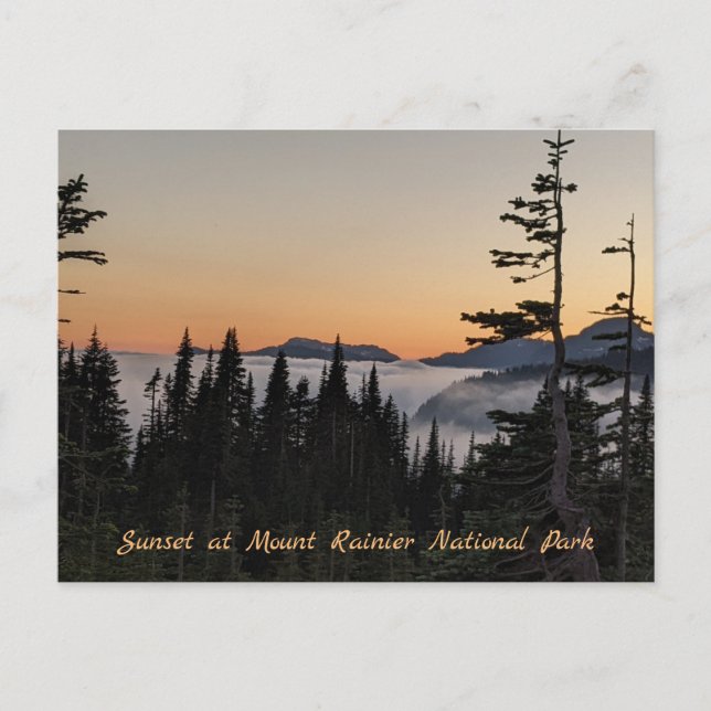 Postal Puesta de sol en Mount Rainier Postard (Anverso)