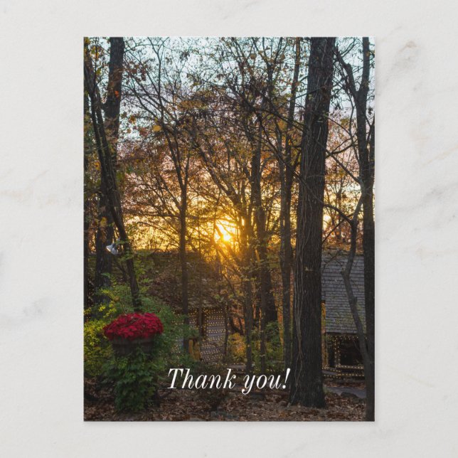 Postal Puesta de sol en Sdc Woods (Anverso)