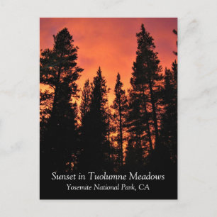 Postal Puesta de sol en Tuolumne Meadows, Yosemite, CA Ta