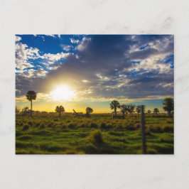 Postal Puesta de sol en un rancho de Florida
