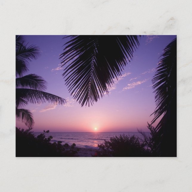 Postal Puesta de sol en West End, Cayman Brac, Islas Caim (Anverso)