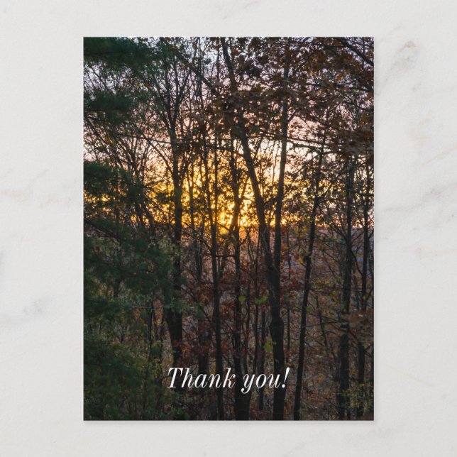 Postal Puesta de sol leñosa de SDC (Anverso)