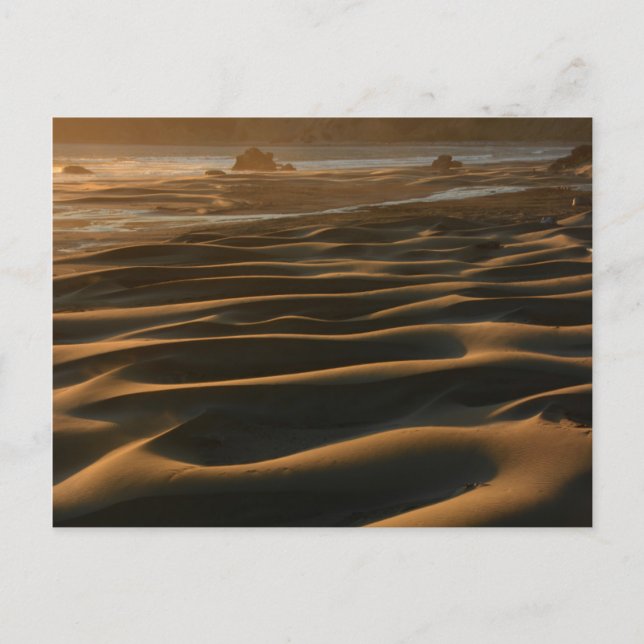 Postal Puesta de sol, Meyers Beach, Oregon, EE. UU. 2 (Anverso)