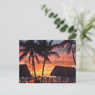 Postal Puesta de sol tropical en Florida Keys