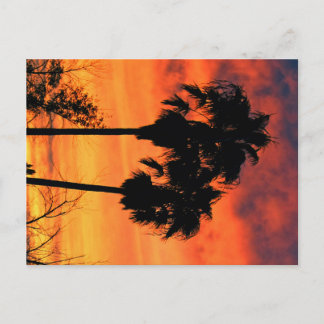 Postal Puesta del sol de Arizona