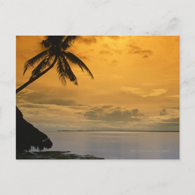 Postal Puesta del sol de la playa (Anverso)