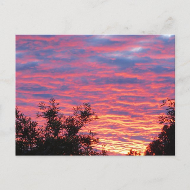 Postal Puesta del sol del verano (Anverso)