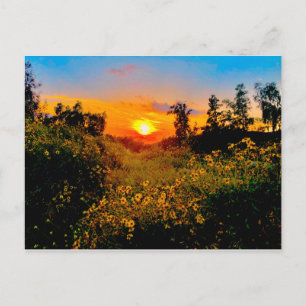 Postal Puesta del sol flores salvajes amarillas de