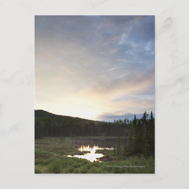 Postal Puesta del sol sobre una charca brumosa (Anverso)