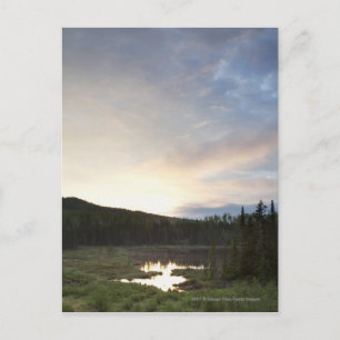 Postal Puesta del sol sobre una charca brumosa