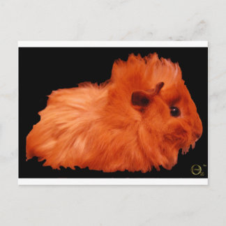 Postal Puff en polvo