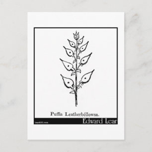 Postal Puffia Leatherbellowsa.