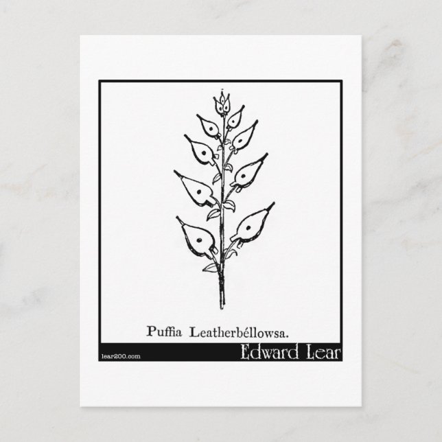 Postal Puffia Leatherbellowsa. (Anverso)