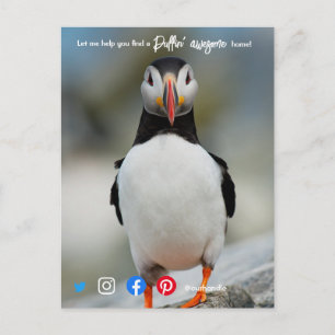 Postal puffin marketing inmobiliario impresionante postca