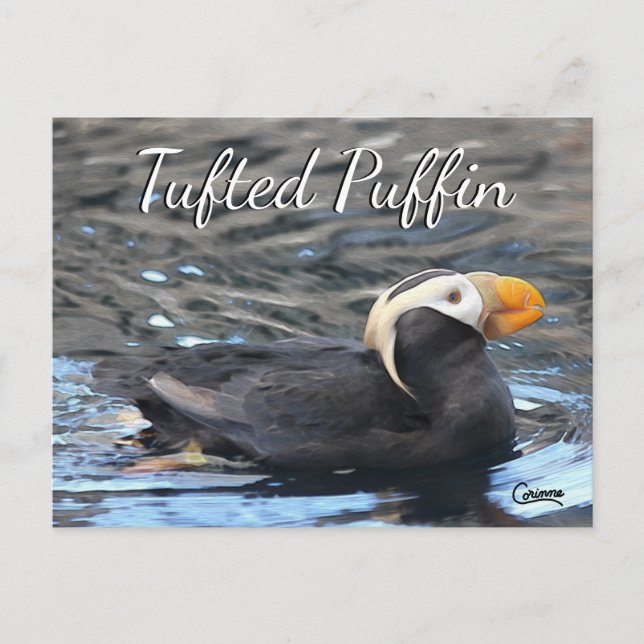 Postal Puffin tufado - Postcard (Anverso)