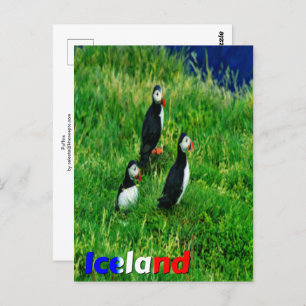 Postal Puffins