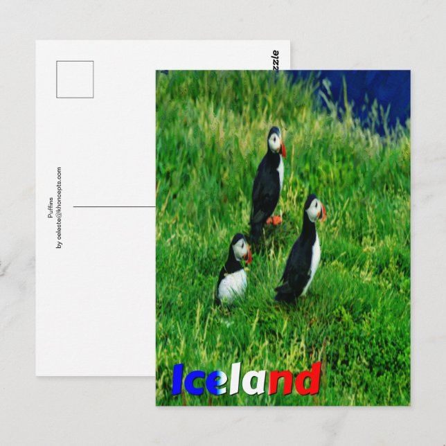 Postal Puffins (Anverso / Reverso)