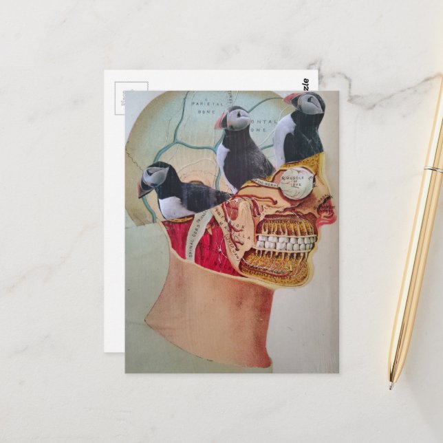 Postal Puffins on the Brain Surreal mixed media collage  (Anverso/Reverso In Situ)