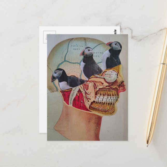 Postal Puffins on the Brain Surreal mixed media collage  (Anverso/Reverso In Situ)
