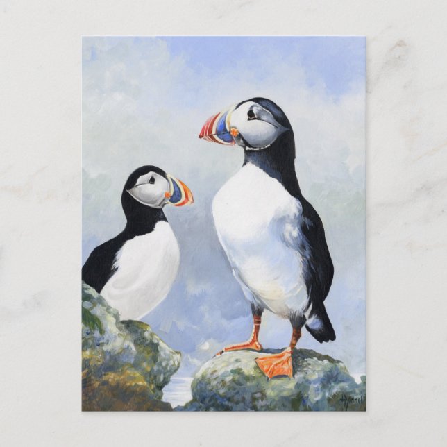 Postal Puffins Post Card (Anverso)