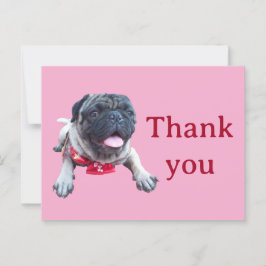 Postal pug
