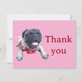 Postal pug