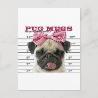 Postal Pug