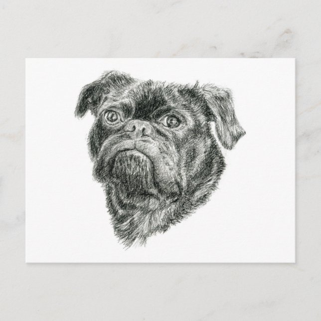 Postal Pug (Anverso)