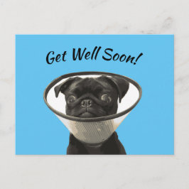 Postal Pug