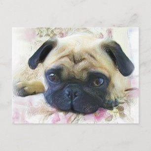 Postal Pug