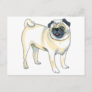 Postal Pug