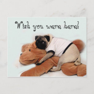Postal Pug Blues