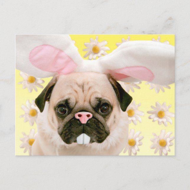 Postal Pug Bunny Oars (Anverso)
