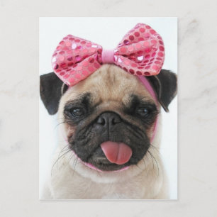 Postal Pug con arco rosado