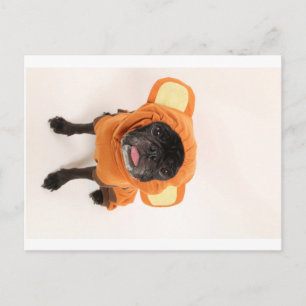 Postal pug con traje de mono