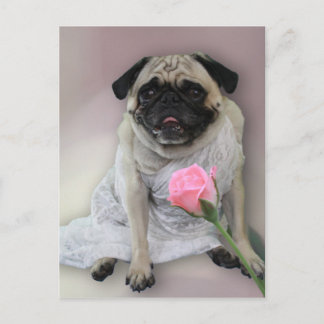Postal Pug de día de bodas