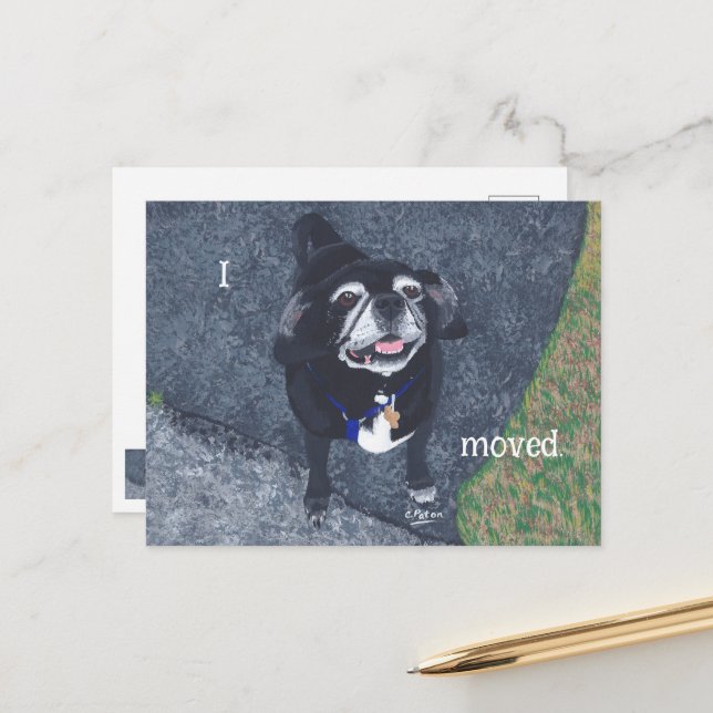 Postal Pug Dog New Address Postcards (Anverso/Reverso In Situ)