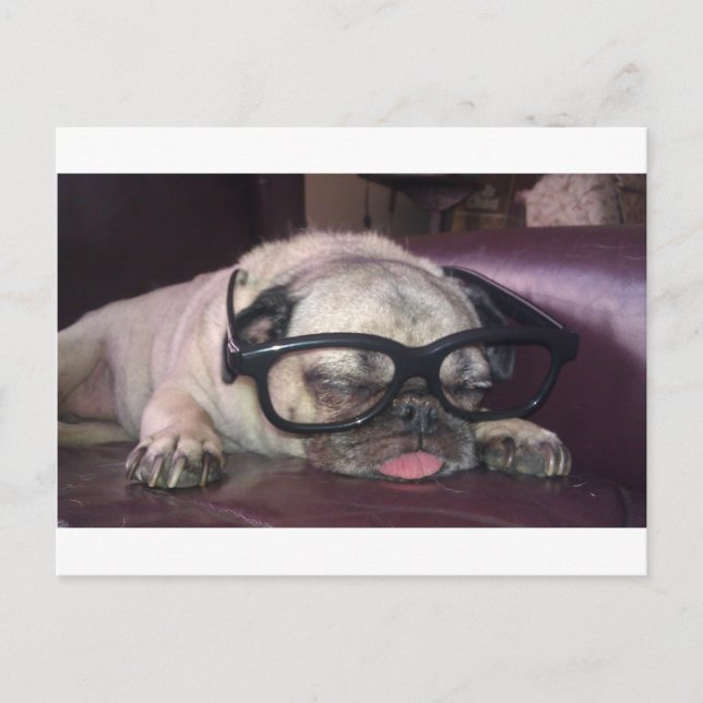 Postal Pug In Glass (Anverso)
