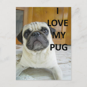 Postal pug love w pic.png