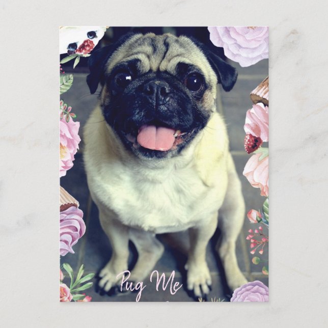 Postal Pug Me - Pug Happy (Anverso)