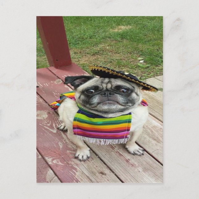 Postal Pug mexicano (Anverso)