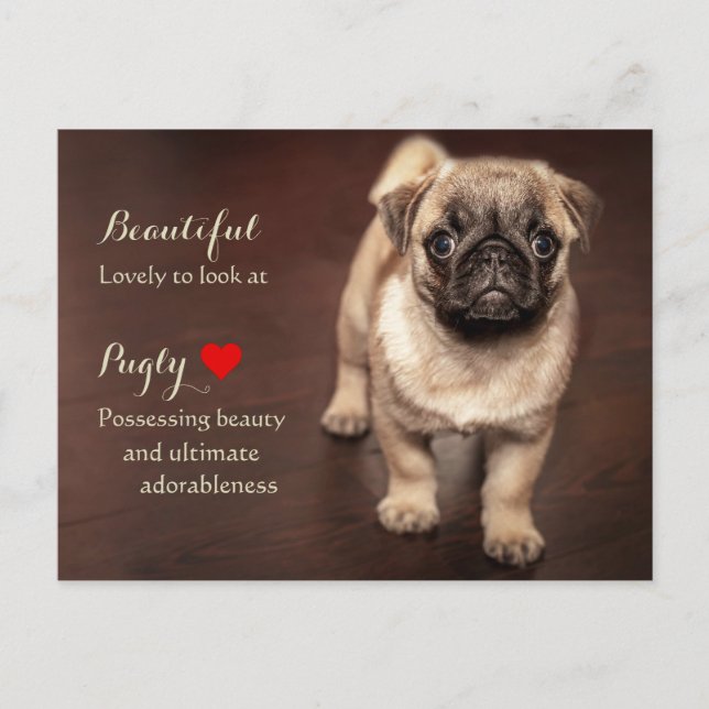 Postal Pug Puppy (Anverso)