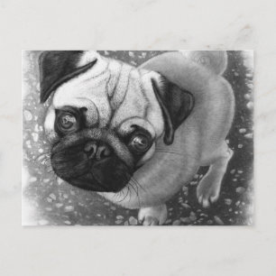 Postal Pug Puppy Dog Art