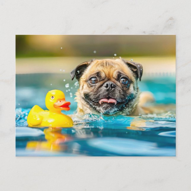 Postal Pug Swimming with Rubber Duck in Pool (Anverso)
