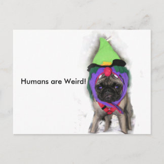 Postal Pug Witch