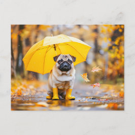 Postal Pug with Umbrella and Boots in Rain